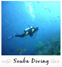 Scuba Diving in Banyuls, France
