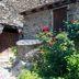 Evol France