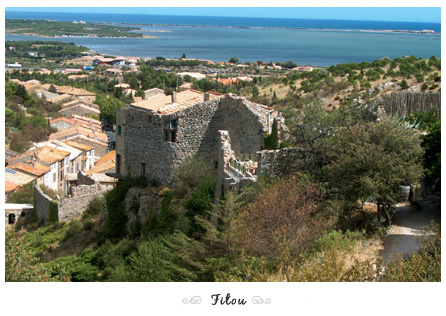 Fitou