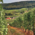 Fitou, Southern France
