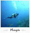 Scuba Diving in Banyuls, France