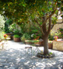 Mas Grandiflora - France Holiday