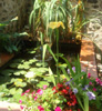 Mas Grandiflora - Vacation Rentals in France