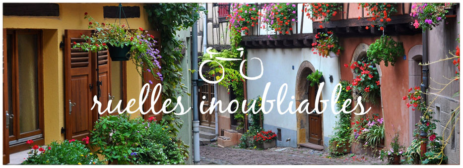 Mas Grandiflora Gites - Accomodation in Perpignan